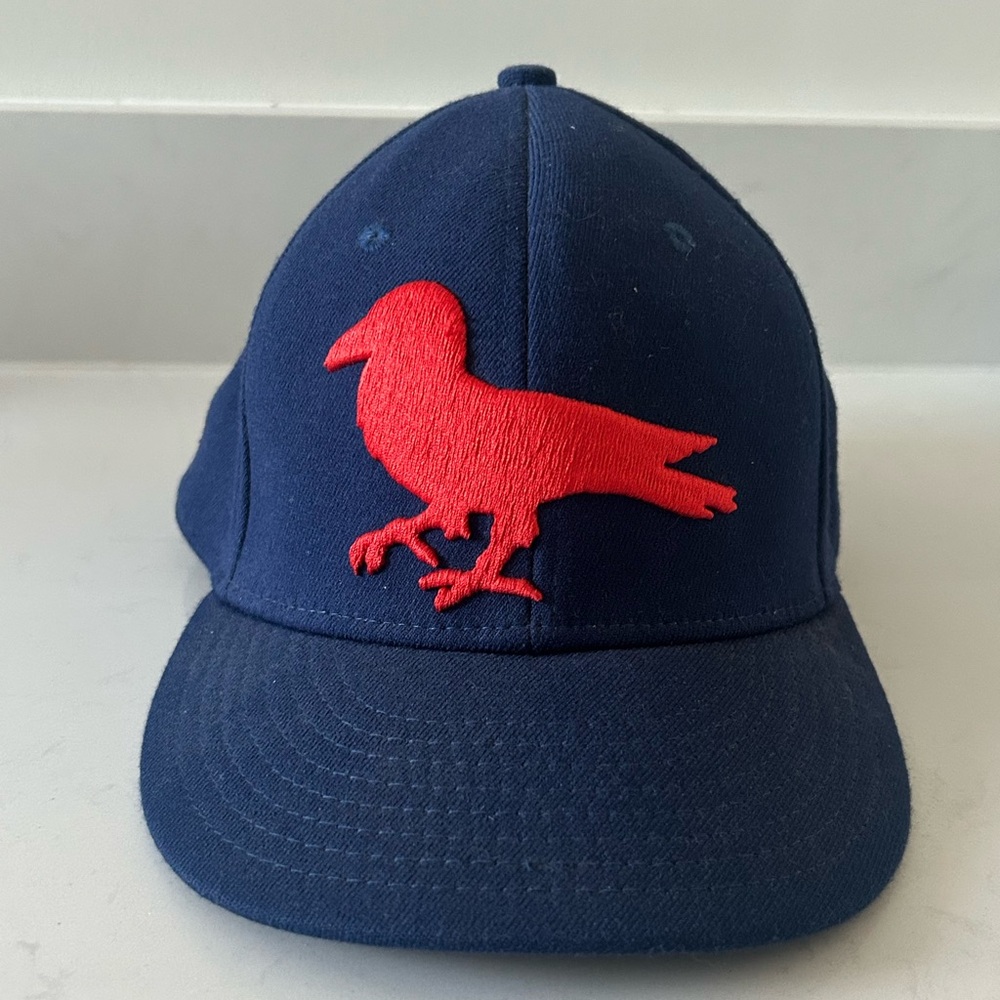 Modern Amusement Navy and Red Cap